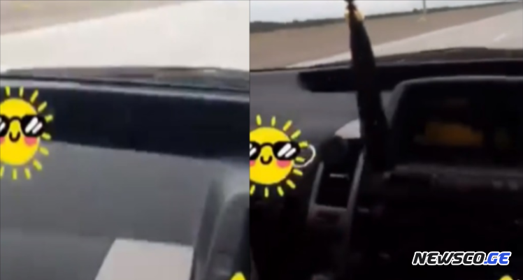 VIDEO:შოკისმომგვრელი კადრები ავტობანიდან, რომელიც მძღოლმა თავად გაავრცელა